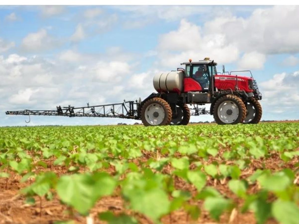 Kάλυψη 100% για τους πληγέντες παραγωγούς Ηλείας από τα έντονα καιρικά φαινόμενα