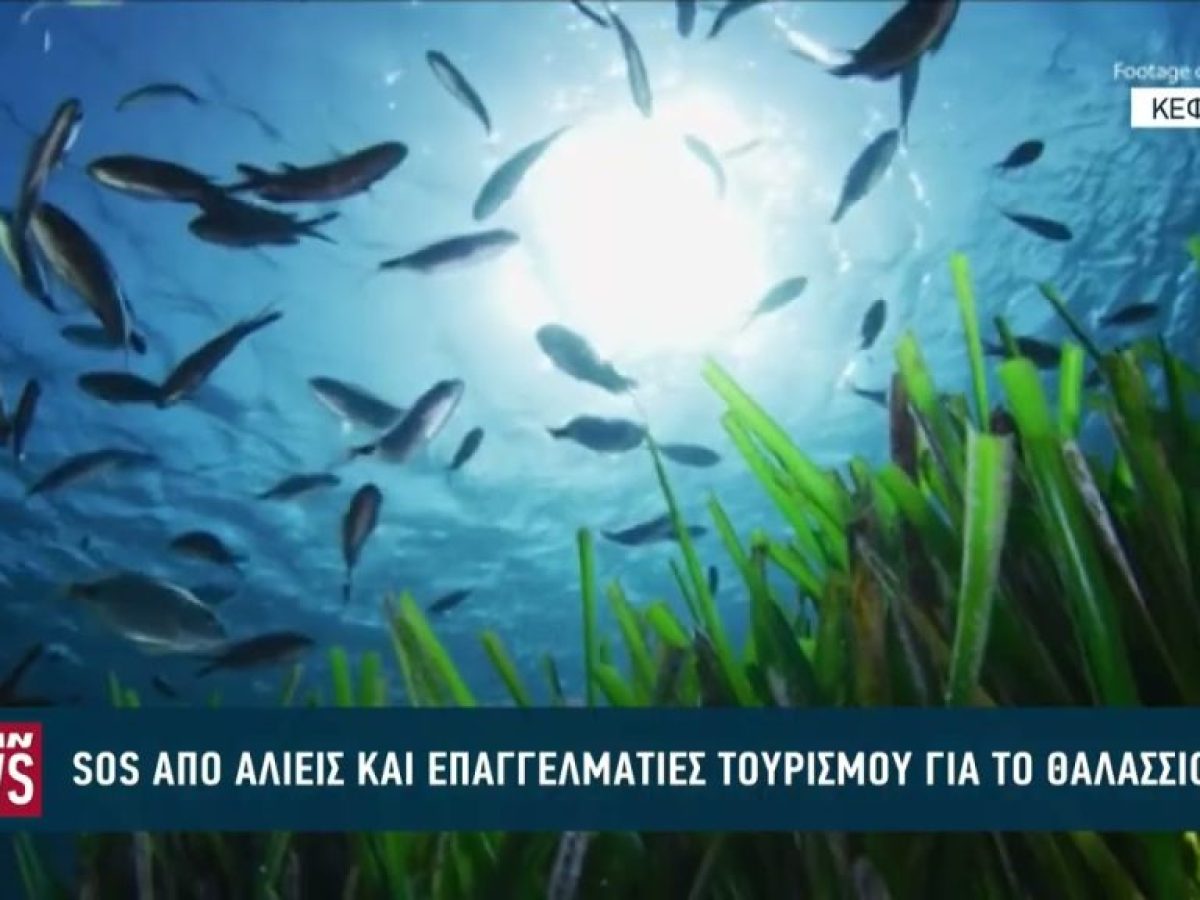 SOS από αλιείς και επαγγελματίες τουρισμού για το θαλάσσιο εμπορικό πάρκο