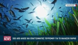 SOS-apo-aliis-ke-epangelmaties