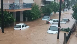 SOS-apo-takoudi-pies-meres
