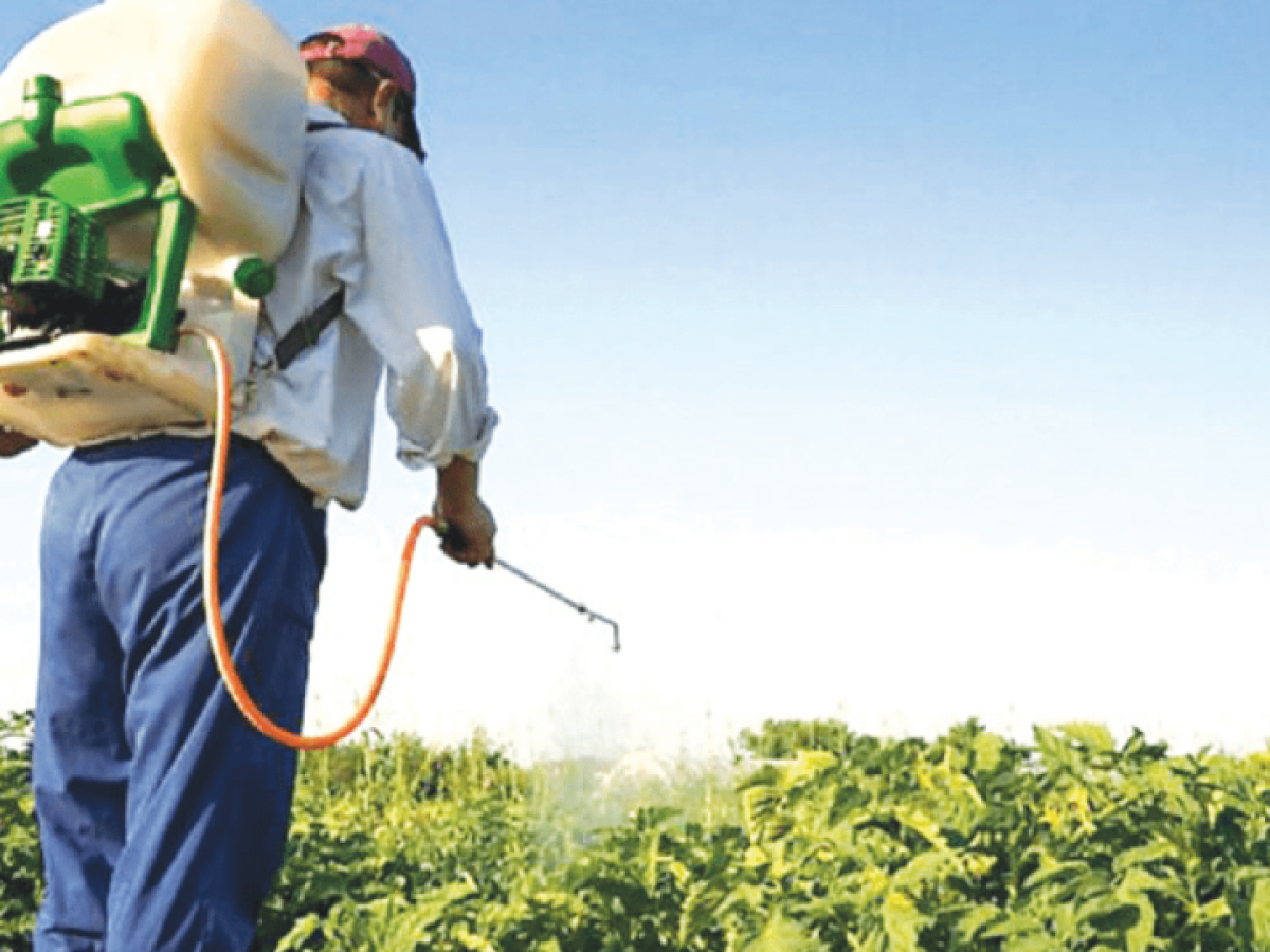 «To 98% των δειγμάτων που εξετάζονται για υπολείμματα φυτοπροστατευτικών είναι ασφαλή»
