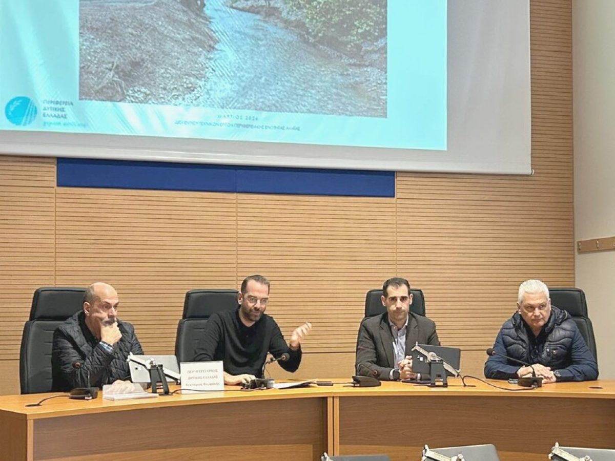 Αυτή είναι η μελέτη οριοθέτησης του ποταμού Βουραϊκού για την προστασία του περιβάλλοντος και την αντιπλημμυρική θωράκιση της περιοχής