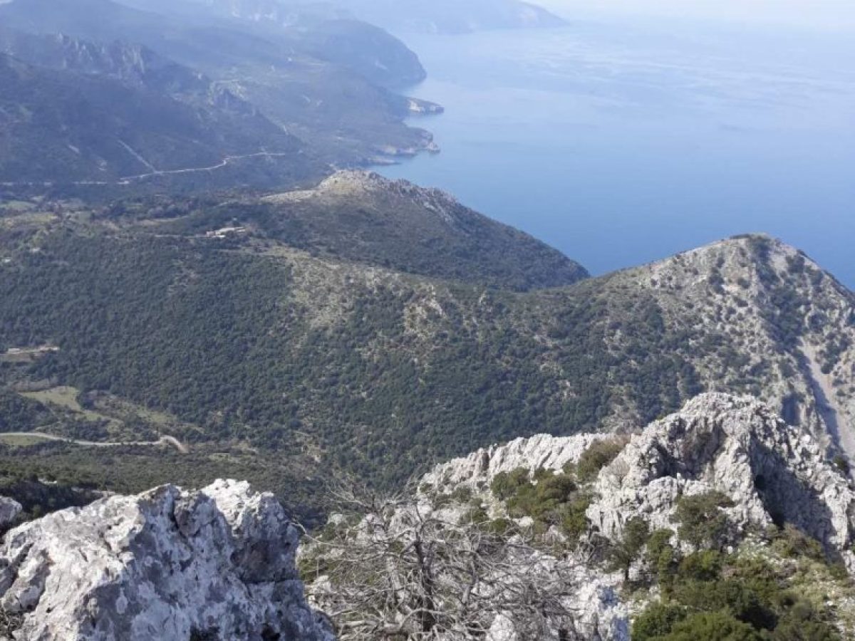 Αυτό είναι το «άγνωστο» βουνό της Εύβοιας – Δείτε πού βρίσκεται