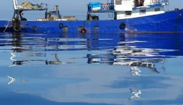 chalkidiki-epichirisi-tou-limenikou-gia