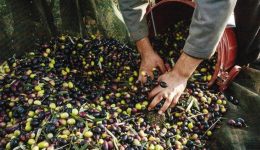 chania-ekdilosi-gia-tis