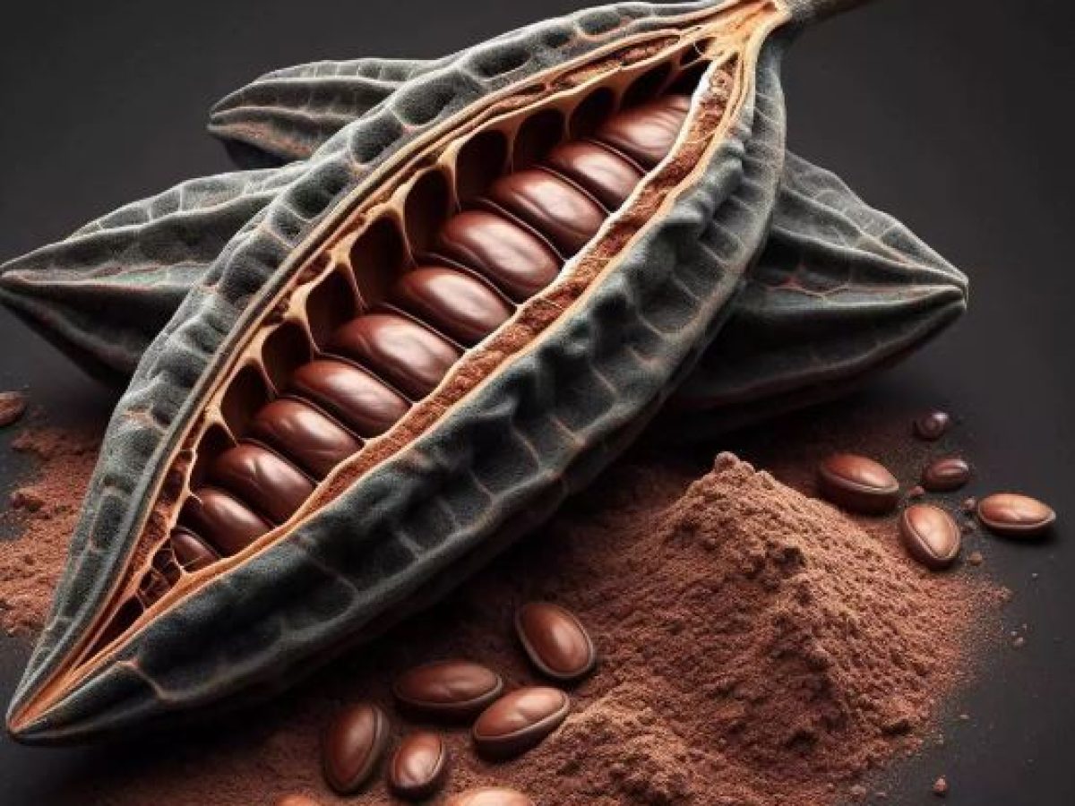 Χανιά | Κρητικό χαρούπι, η εναλλακτική «σοκολάτα» του μέλλοντος;  | Video