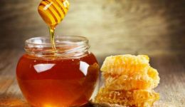 chania-–-kriton-kalliergin-2026-1