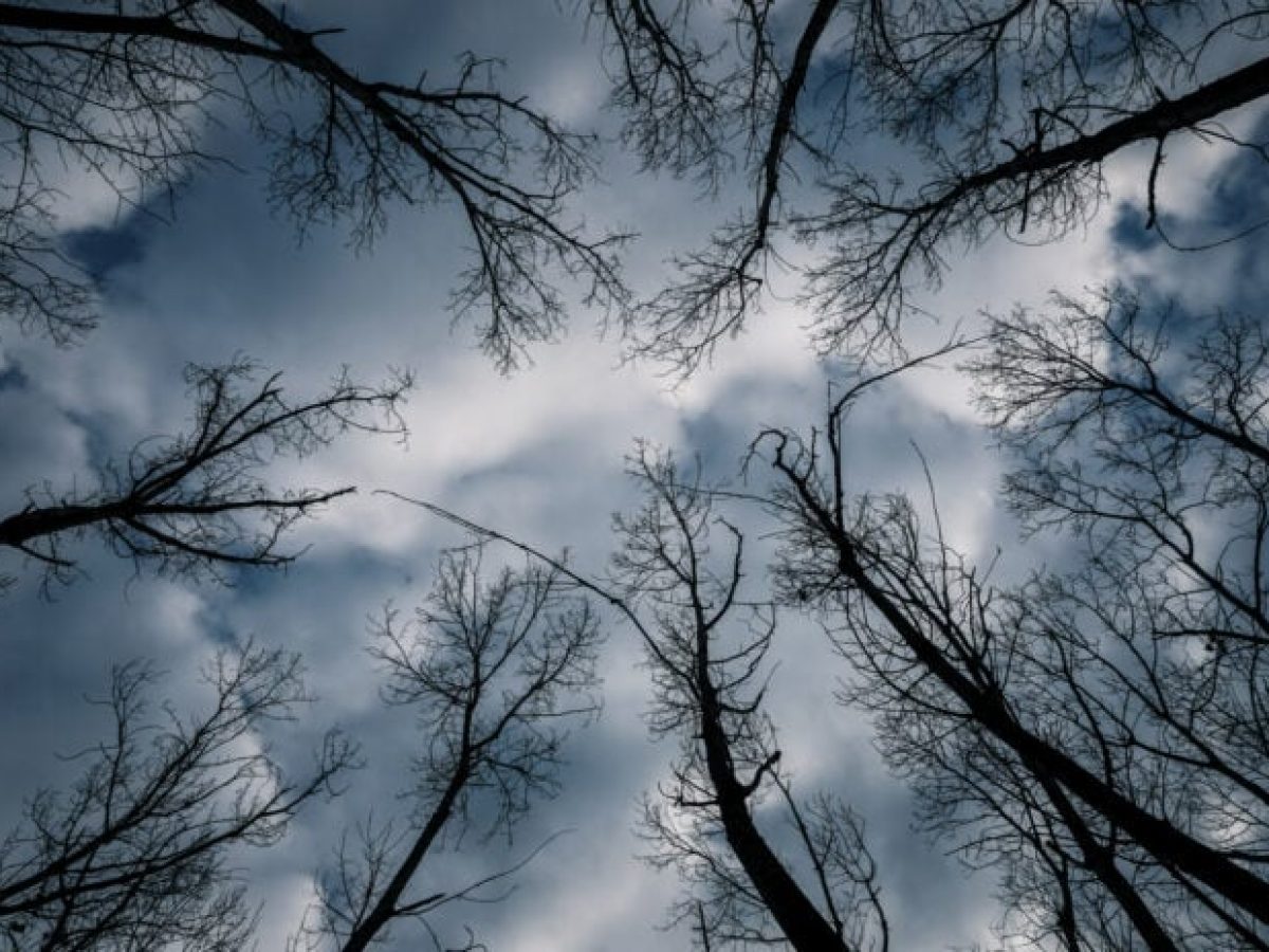 Χειμώνας 2025–2026: Ο 2ος θερμότερος στην Ελλάδα από το 1960