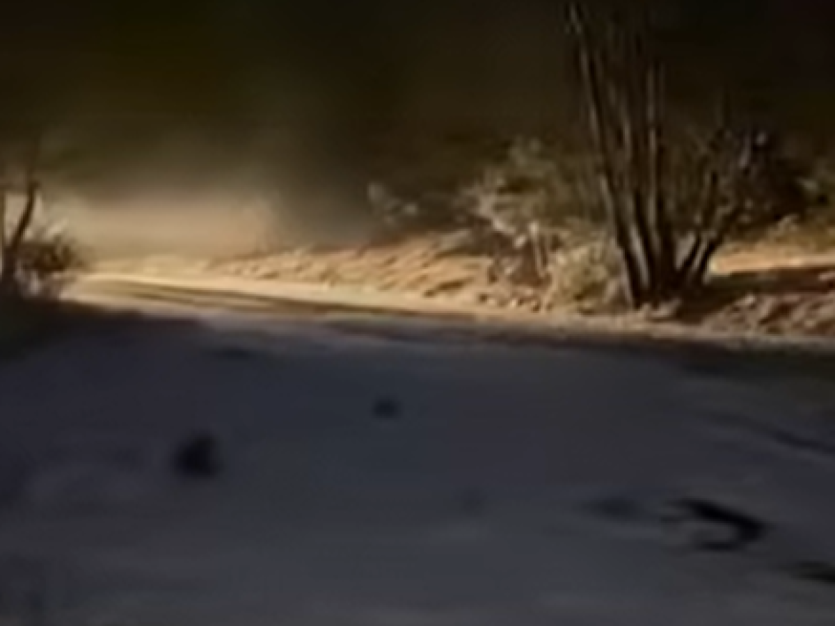 Χιονίζει στην Ορεινή Ναυπακτία – Συνεχίεται ο αποχιονισμός και η ρίψη αλατιού