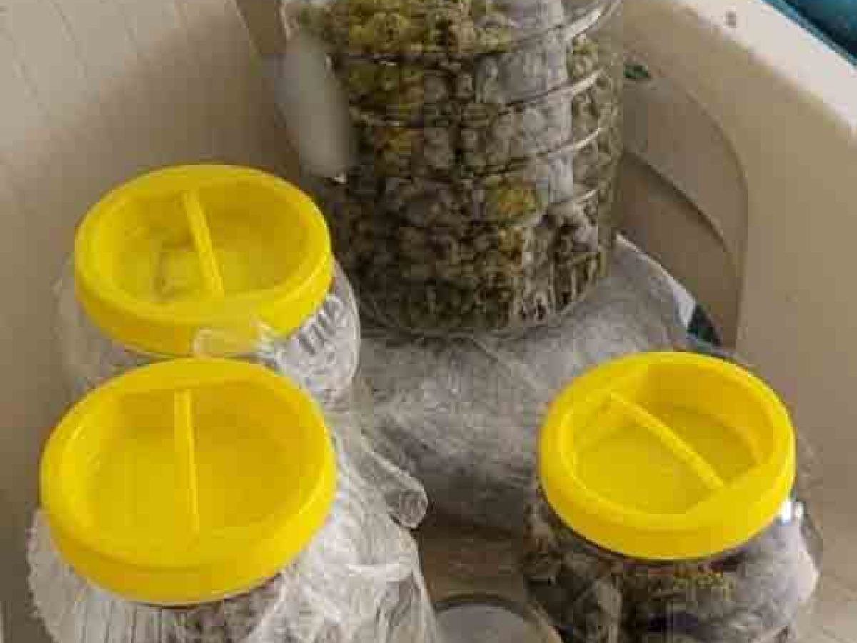 Χειροπέδες σε έναν 33χρονο για ναρκωτικά-Κατασχέθηκε περίπου -1- κιλό κάνναβης και μικροποσότητα ηρωίνης