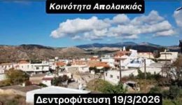 dentrofitefsi-stin-Αpolakkia