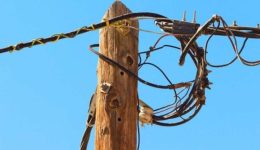 diakopi-revmatos-to-proi-tis