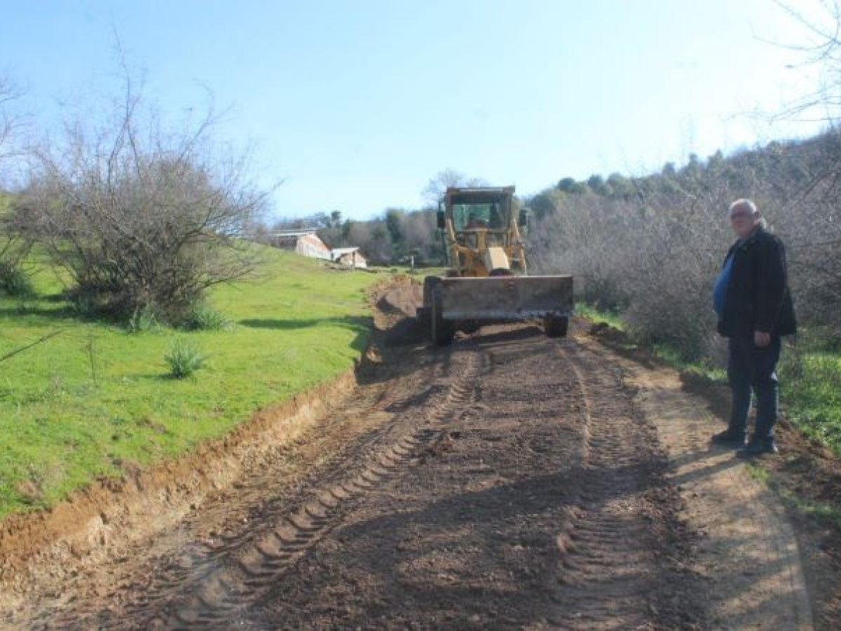 Διαμόρφωση και συντήρηση αγροτικών δρόμων στην Πιαλεία του Δήμου Πύλης