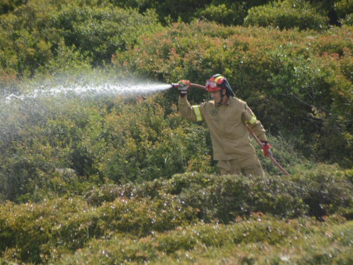 Διυπουργική σύσκεψη για την αντιπυρική περίοδο | “Υπάρχει ανάγκη για συνεχή εγρήγορση” συμφώνησαν όλοι οι φορείς