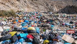 diktes-epidoseon-dimon-2024-i