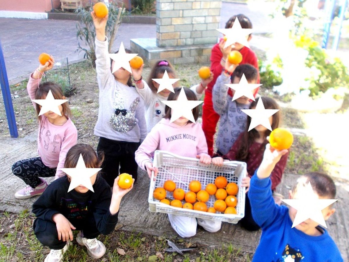 Δημ. Σχολείο Λουτρόπολης Θερμής:Όψιμα φέτος το μάζεμα των πορτοκαλιών