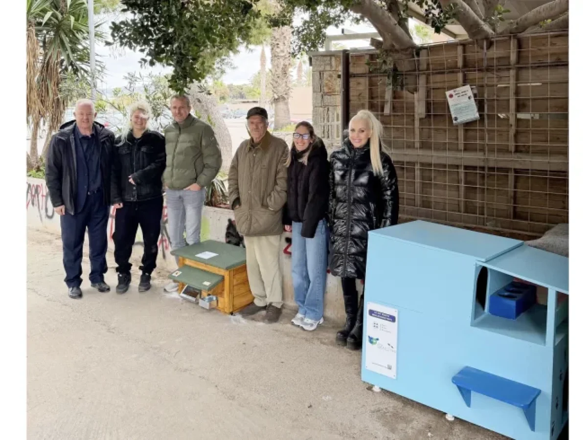 Δήμος 3Β: Ένα μεγάλο “ευχαριστώ” στους πολίτες που φροντίζουν τις αδέσποτες γάτες της πόλης