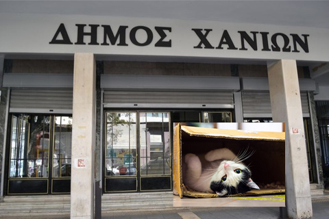 dimos-chanion-minisi-gia-arrosto-2