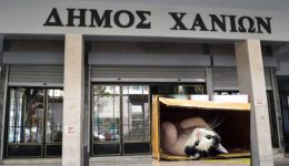 dimos-chanion-minisi-gia-arrosto