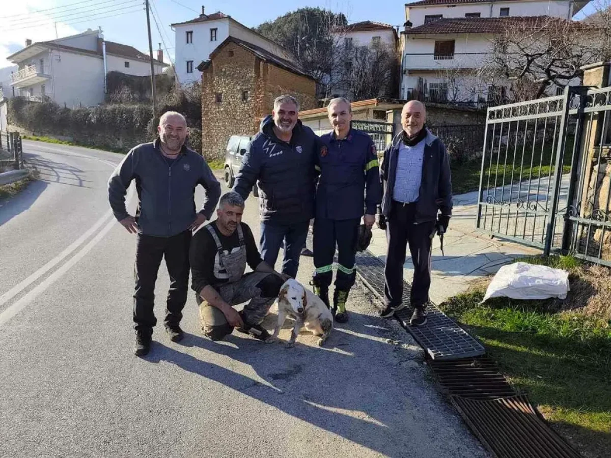 Δήμος Φλώρινας: Απεγκλωβισμός σκύλου από φρεάτιο στον Πολυπόταμο