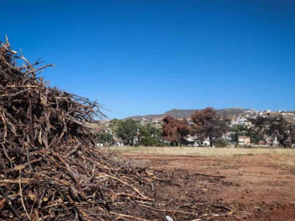 Δήμος Μεγαρέων: Ξεκινά η υποχρέωση καθαρισμού οικοπέδων – Προθεσμίες και πρόστιμα