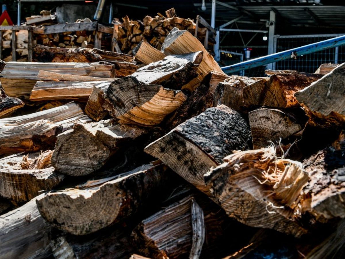 Δήμος Σαμοθράκης: Επιτρέπεται για μερικές ημέρες η συλλογή καυσόξυλων από τα δημόσια δάση