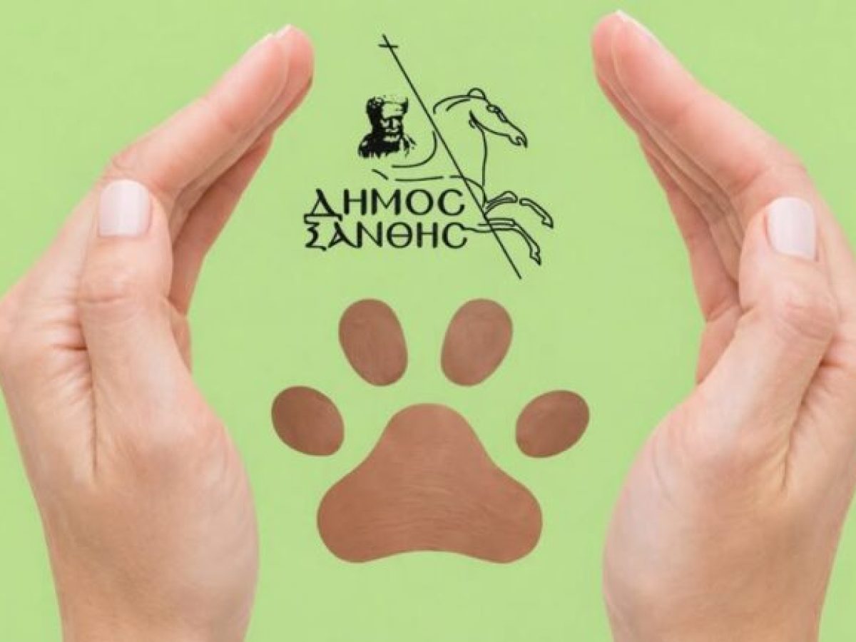 Δήμος Ξάνθης: Ενημέρωση για τις βεβαιωθείσες παραβάσεις του Ν. 4830/2021 περί ζώων συντροφιάς για το έτος 2025