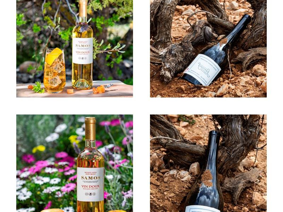 Δύο χρυσές «σφραγίδες» στο Σαμιώτικο Μοσχάτο από το Βερολίνο. Κορυφαίες διακρίσεις για το Συνεταιρισμό της Σάμου στο Berliner Wine Trophy 2026