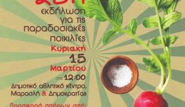 diorganonete-stin-komotini-i-25i-1