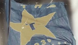 divTigers-gia-ta-95-chronia-2