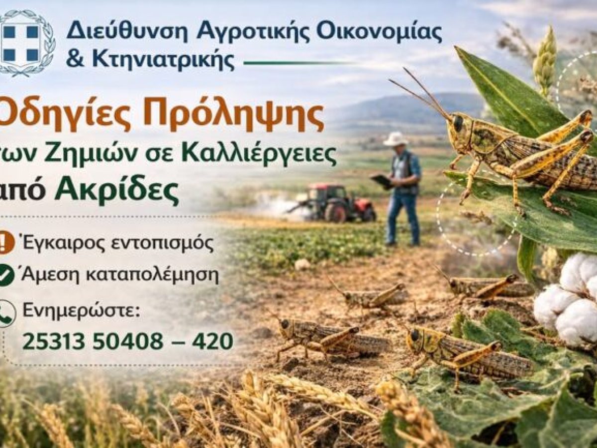 &Delta;&iota;&epsilon;ύ&theta;&upsilon;&nu;&sigma;&eta; &Alpha;&gamma;&rho;&omicron;&tau;&iota;&kappa;ή&sigmaf; &Omicron;&iota;&kappa;&omicron;&nu;&omicron;&mu;ί&alpha;&sigmaf; & &Kappa;&tau;&eta;&nu;&iota;&alpha;&tau;&rho;&iota;&kappa;ή&sigmaf; &Pi;.&Epsilon;. &Rho;&omicron;&delta;ό&pi;&eta;&sigmaf;: &Omicron;&delta;&eta;&gamma;ί&epsilon;&sigmaf; &pi;&rho;ό&lambda;&eta;&psi;&eta;&sigmaf; &tau;&omega;&nu; &zeta;&eta;&mu;&iota;ώ&nu; &sigma;&epsilon; &kappa;&alpha;&lambda;&lambda;&iota;έ&rho;&gamma;&epsilon;&iota;&epsilon;&sigmaf; &alpha;&pi;ό &alpha;&kappa;&rho;ί&delta;&epsilon;&sigmaf;