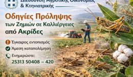 divdiefthinsi-Αgrotikis-ikonomias-ktiniatrikis