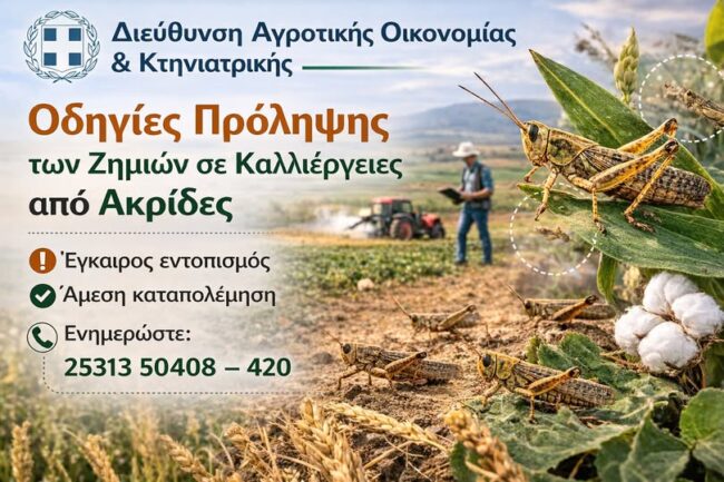 divdiefthinsi-Αgrotikis-ikonomias-ktiniatrikis