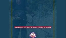 divdimos-lavreotikis-katharismos-ikopedon