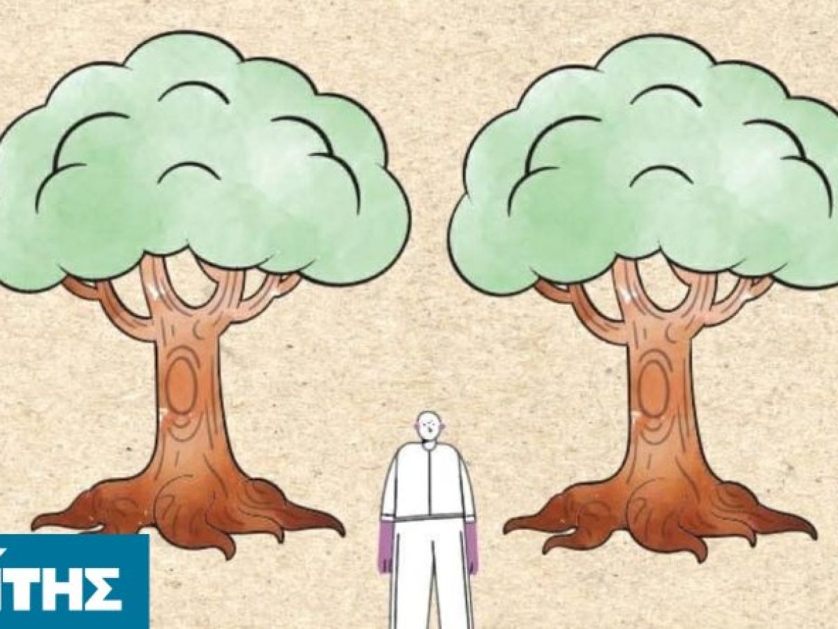 Η Καλλιτεχνική Κοινότητα “Εκεί που ΖΩ” στην Υπηρεσία Aναγεννησης της Φύσης