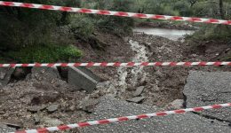 divi-zimies-i-katolisthisis