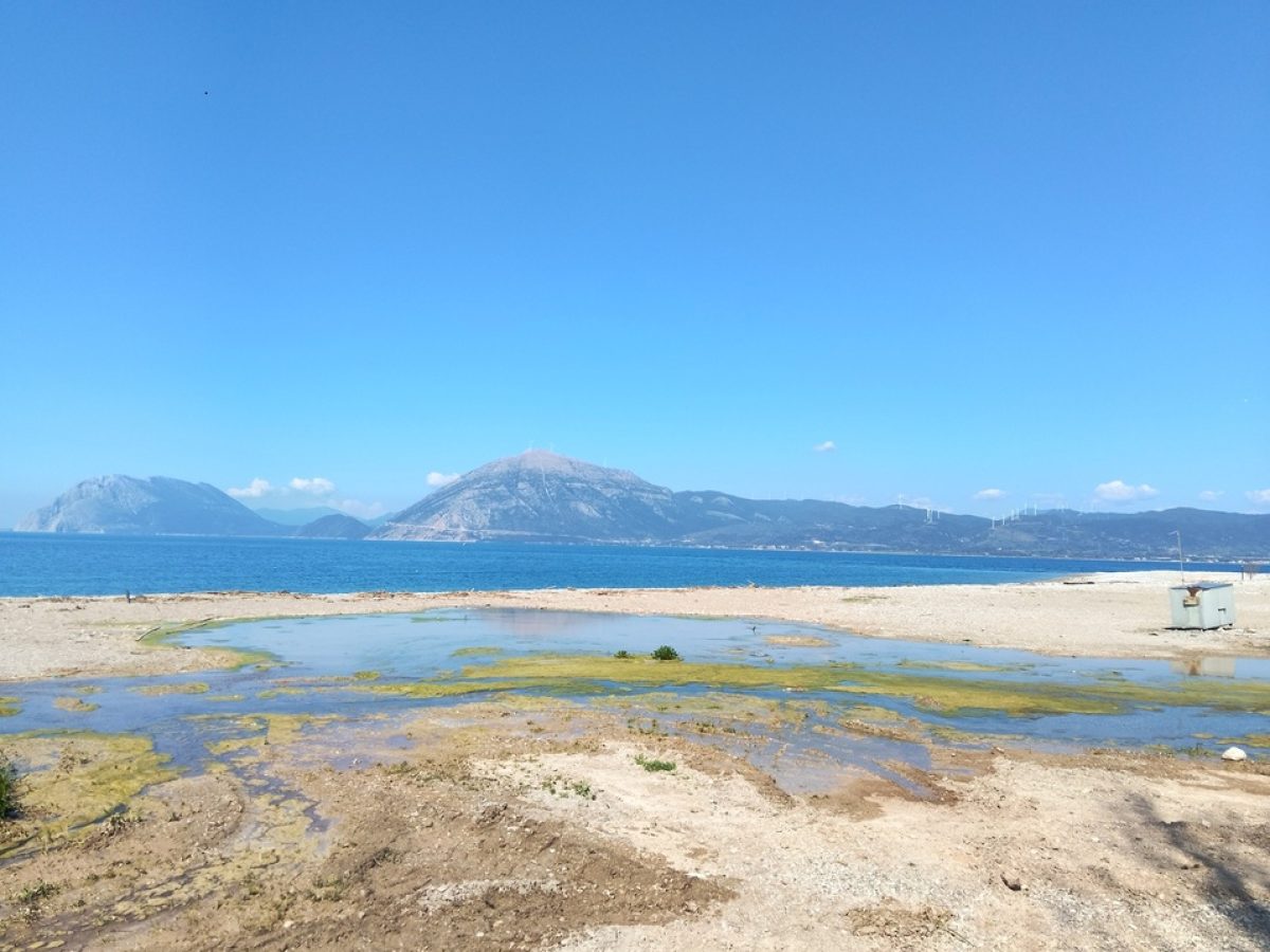 ΟΙΚΙΠΑ: “Μην μετατρέπετε το πλατανόδασος του Χαράδρου από φυσικό άλσος σε τεχνητό «πάρκο»”