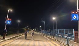 divlechena-varda-&Alpha;ndravida-manolada-1