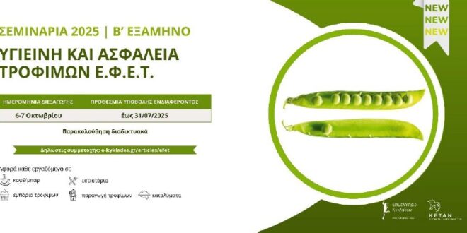 divneo-seminario-igiinis-&Alpha;sfalias-1