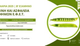 divneo-seminario-igiinis-&Alpha;sfalias