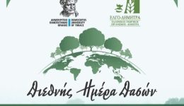 divorestiada-ekdilosi-gia-ti-diethni