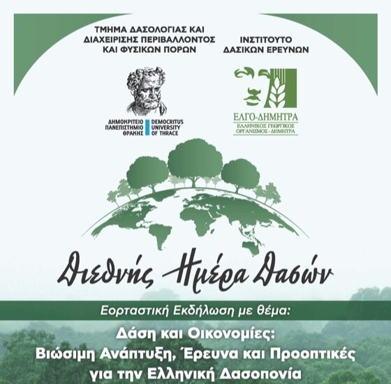 divorestiada-ekdilosi-gia-ti-diethni