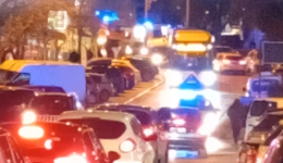 divsovaro-trocheo-distichima-me-parasirsi