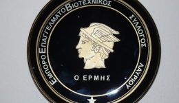 divtherino-orario-2026-orario