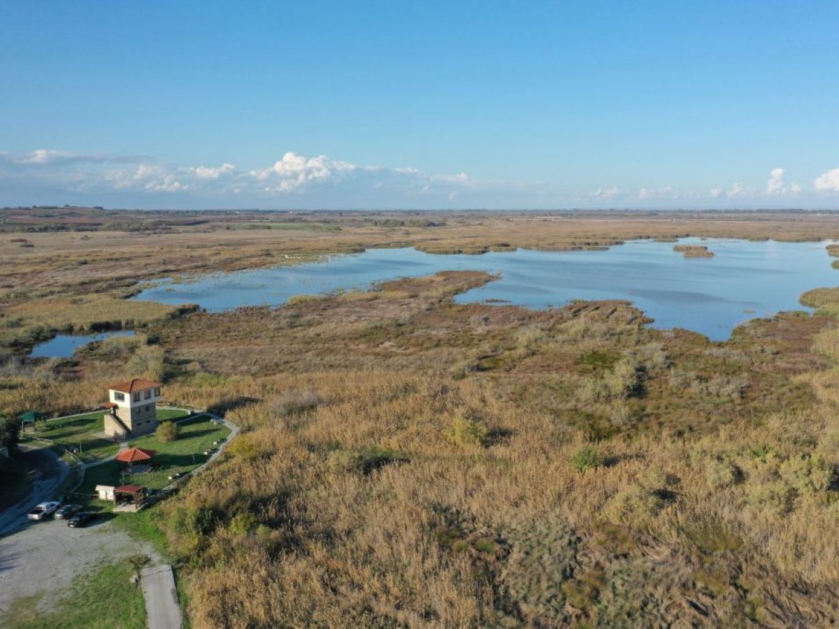 Δωρεάν νυχτερινές ξεναγήσεις στον υγρότοπο Νέας Αγαθούπολης