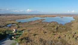 dorean-nichterines-xenagisis-ston-igrotopo