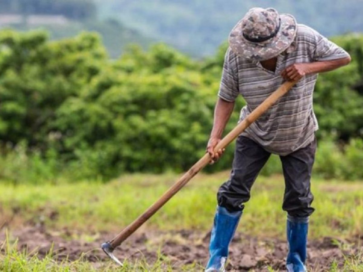 Ε.Α.Σ. : Δήλωση μεταβολών για υποχρεωτική μετάταξη αγροτών στο κανονικό καθεστώς Φ.Π.Α.