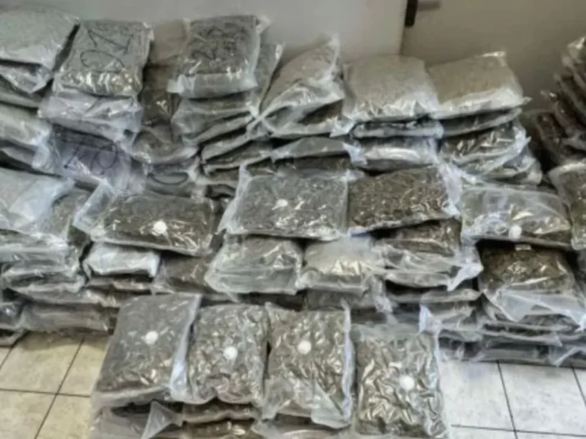 Έφοδος σε μεταφορική εταιρεία στη Δυτική Αττική: Βρήκαν 219 κιλά ναρκωτικών – «Ζαλίζει» η αξία των 750.000€ (Βίντεο)