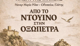 ekdilosi-gia-tin-pagkosmia-imera-2