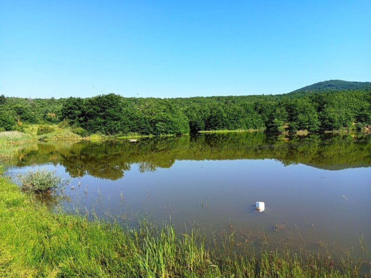 Εκδήλωση του Δικτύου Πόλεων με Λίμνες στην Κεντρική Ένωση Δήμων Ελλάδας (ΚΕΔΕ)
